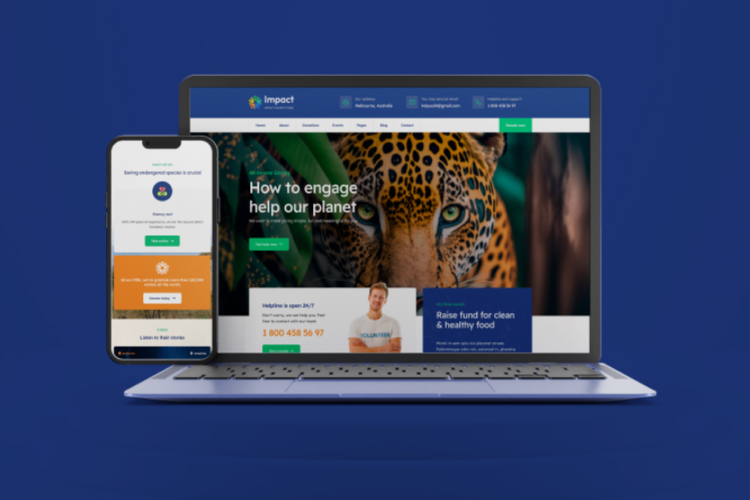 Fully Responsive Design